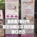 등촌동/발산역 알포유에너지 테라피 바디관리 후기 :)