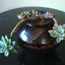 옹기의 만남 이미지