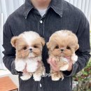 케이퍼피