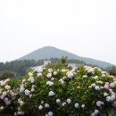 안성리-6 이미지