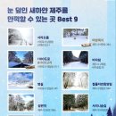 워크인제주 이미지