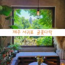 제주 카페 | 서귀포 &#39;귤꽃다락&#39; 제주감성 귤밭뷰 카페