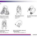 더플라이학원