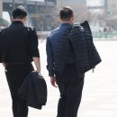 비봄