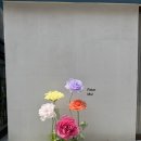 매장 포인트 인테리어에 좋은 장미 자이언트 플라워 포토존