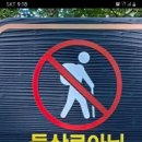 왕방산 등산로 이미지