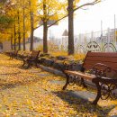 여유로운 이미지