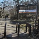 오리숲 | [충청남도 도민리포터] 하늘 아래 으뜸 사찰, 천년의 세월을 품은 공주 ‘갑사’에서 만나는 쉼표