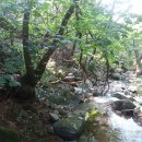 강당골 Daum카페