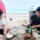 관성솔밭해변 이미지