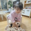 채은농장 Daum카페