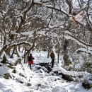 규봉암가는길 이미지