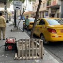 라벤데리아 이미지