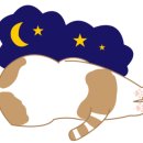 호텔알베로 이미지