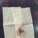 청수배관 이미지