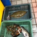 송도포구