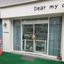 디어 마이 독 | 광산구 애견미용실 ‘디어마이독’ 후기 - 겁 많은 아이도 안심했어요!