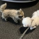 경기도 수원시 영통구 삼성로267번길 이미지