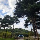 하늘공원 | 하루 먼저 다녀온 하늘공원 후기_2025 억새축제 축제 정보 포함