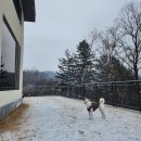 서린춘천 이미지