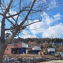 태안팜랜드 이미지