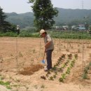 수기농장 이미지