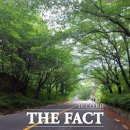 대청호수로 이미지