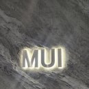 김대현 | 삼성역 미용실 무이 ㅣ 극손상모 악성곱슬머리 김대현 원장님 매직세팅 후기