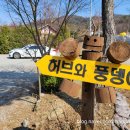 허브와풍뎅이 이미지