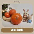 아기과일시기 아기 귤 제주 홍매향 후기