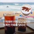 강릉 안목해변 레오파드 카페, 통창 오션뷰에 독특한 컨셉, 메뉴·주차 총정리