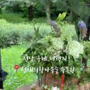 천개의향나무숲정원 네이버블로그