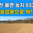 율면초교 | 이천시 율면 논2필지 매매-농업용으로 안정적 자산 실제 후기와 장점 분석