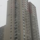 분당-226 이미지