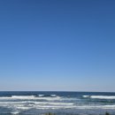 나진카센타 이미지