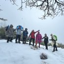 Mt. Islip Via Windy Gap Trail 03-02-2024 이미지