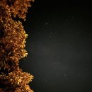 늘편한캠핑장 이미지