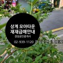 소수공인중개사사무소 이미지