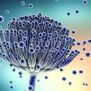 포낙보청기 마포센터 이미지