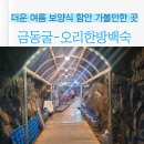 금동백숙 이미지