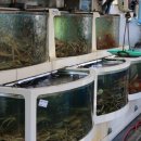 대게 좋은곳 이미지