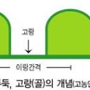 방주농장 네이버블로그
