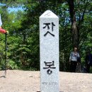 동강과 어우러져 천혜의 절경을 보여주는 산 (7/8) - 영월 잣봉 이미지