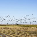 손해평가사 1차 - 상법 보험편 이미지