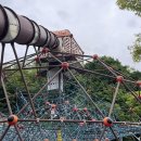 주치골사람들 이미지