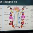 수아스킨앤바디