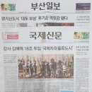 핑의정부 이미지