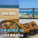 애견식단 | 강릉 애견동반 식당 막국수 맛집 고씨네 동해막국수 내돈내산