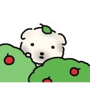 싱싱야채달달과일