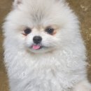 펫월드 경산임당점 이미지